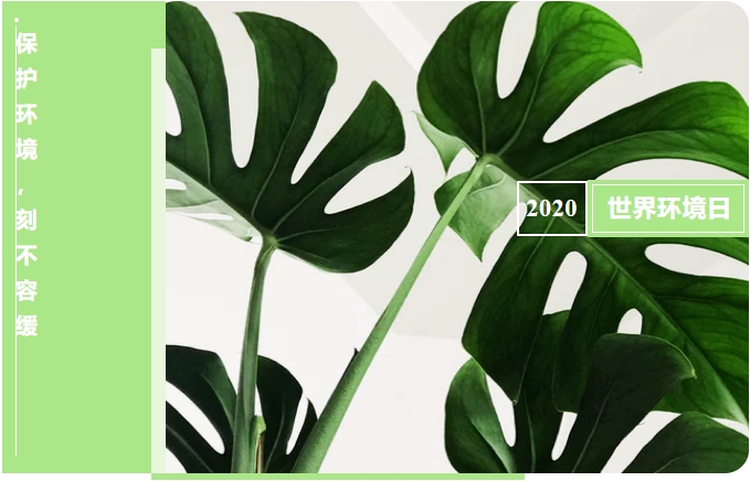 世界環(huán)境日——保護(hù)環(huán)境，刻不容緩